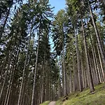 Σαλέ Siska Ruzomberok
