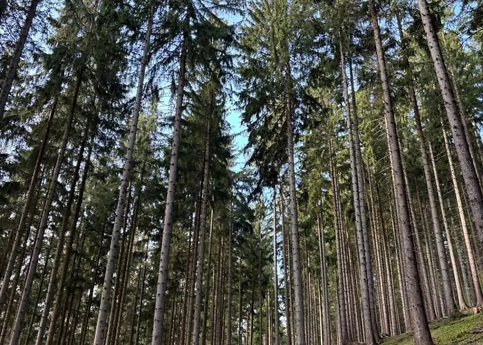 Chalet Siska Ruzomberok